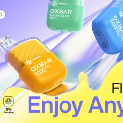 Oxbar Mini 2200